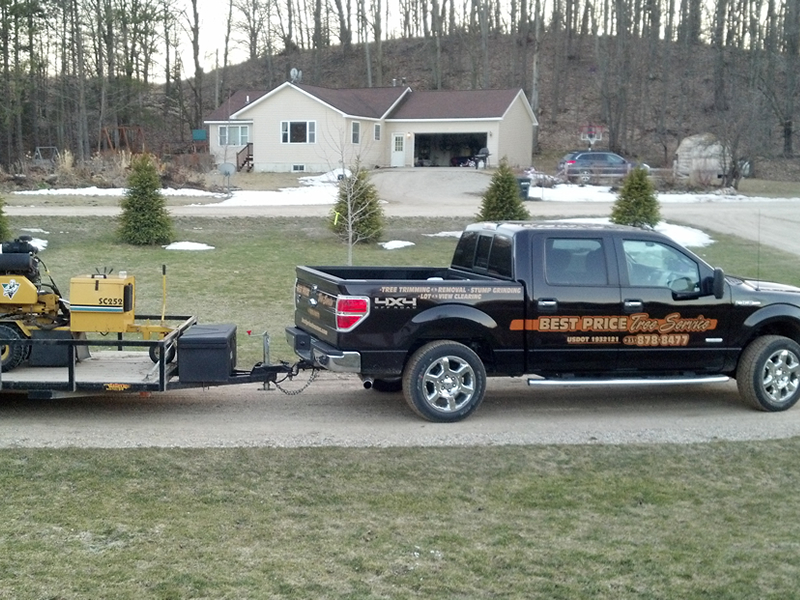 Gallery Best Price Tree Service